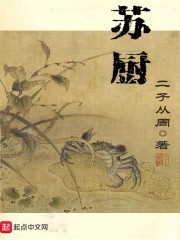 苏厨章节列表