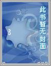 篮球星光章节列表