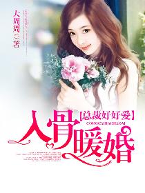 入骨暖婚章节列表