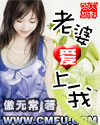 老婆爱上我章节列表
