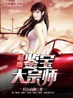 超级鉴宝大宗师章节列表