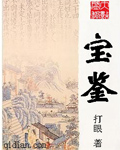 宝鉴章节列表