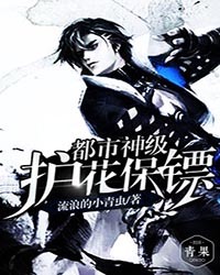 都市神级护花保镖章节列表