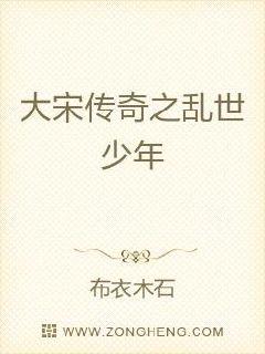 大宋传奇章节列表
