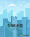 春城逐梦章节列表