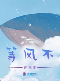 等风不许归期章节列表