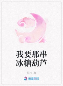 我要那串冰糖葫芦章节列表