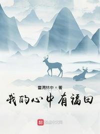 我的心中有福田章节列表