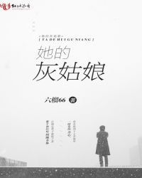 她的灰姑娘章节列表