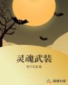 灵魂武装章节列表