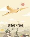 共同方向章节列表