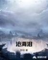 沧海泪章节列表