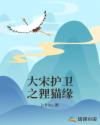 大宋护卫之狸猫缘章节列表