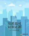 反派也可以很正派章节列表