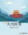 大兴传书章节列表