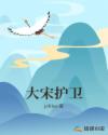 大宋护卫章节列表