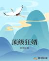 顶级狂婿章节列表