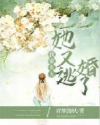 我家夫人她又逃婚了章节列表
