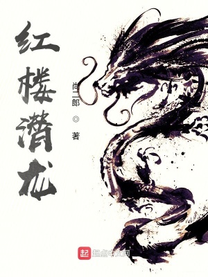 红楼潜龙章节列表