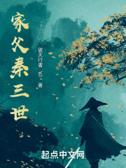 家父秦三世章节列表