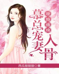 暖婚缠绵，慕总宠妻入骨章节列表