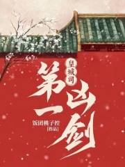 皇城司第一凶剑章节列表