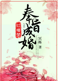[红楼]奉旨成婚章节列表