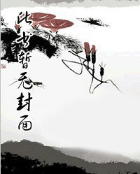 嬛真夜庭章节列表
