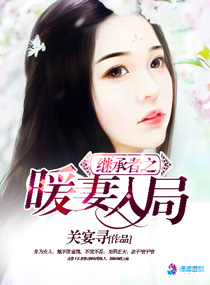 继承者之暖妻入局章节列表