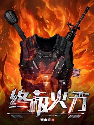 终极火力章节列表