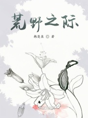 荒野之际章节列表