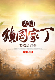 大明镇国家丁章节列表