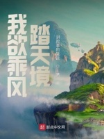 我欲乘风踏天境章节列表