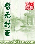 香江王章节列表