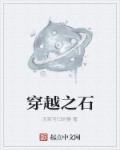 穿越之石章节列表