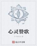 心灵赞歌章节列表