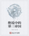 绝境中的第三帝国章节列表