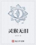 灵猴无泪章节列表