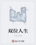 双位人生章节列表