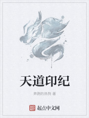 天道印纪章节列表
