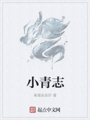 小青志章节列表