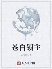 苍白领主章节列表