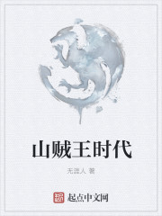 山贼王时代章节列表