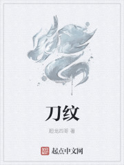 刀纹章节列表