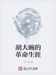 胡大碗的革命生涯章节列表