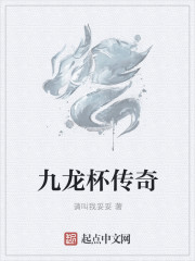 九龙杯传奇章节列表
