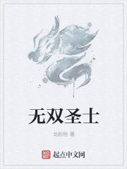 无双圣士章节列表