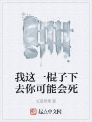 我这一棍子下去你可能会死章节列表