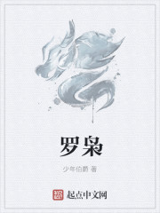 罗枭章节列表