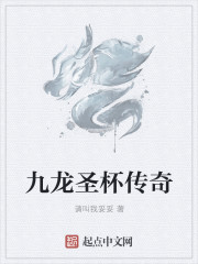 九龙圣杯传奇章节列表